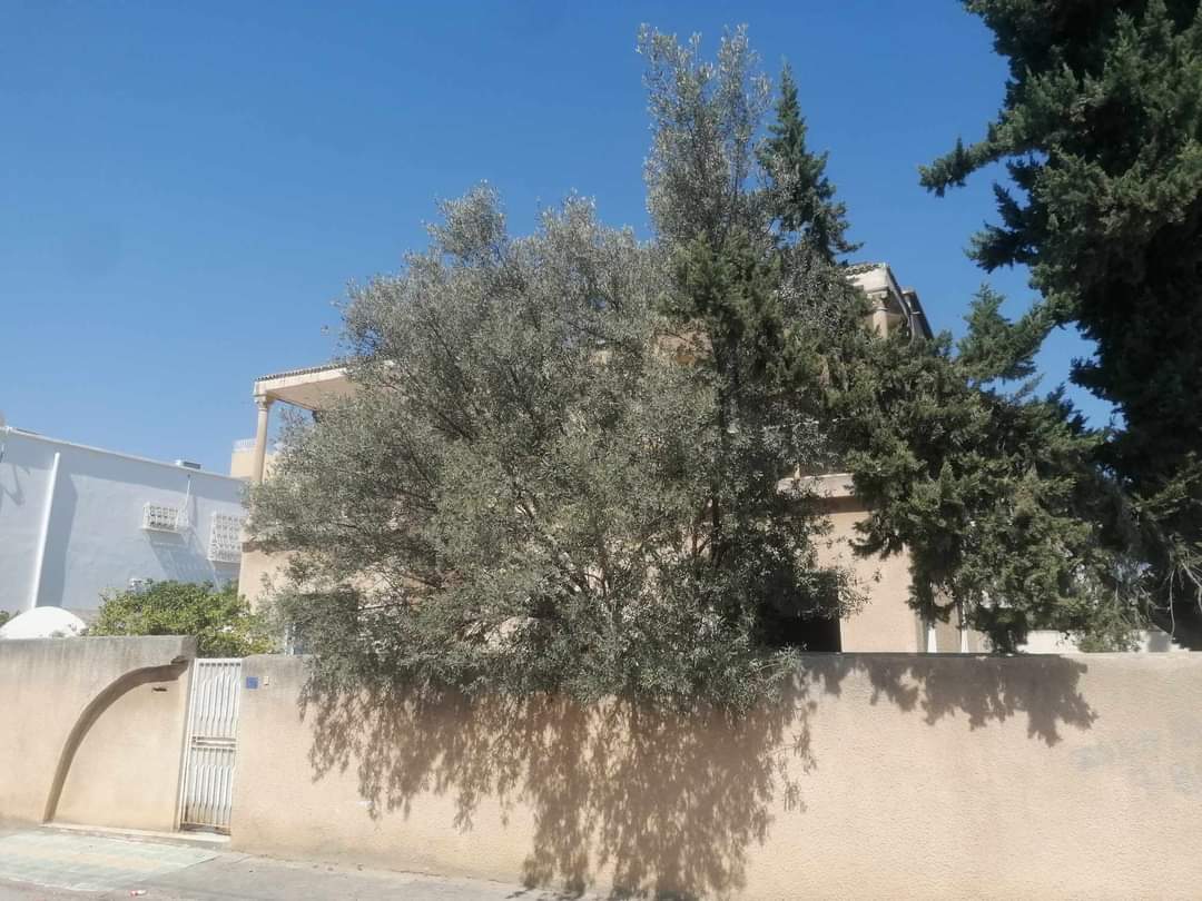 Megrine Sidi Rezig Vente Maisons Maison  villa