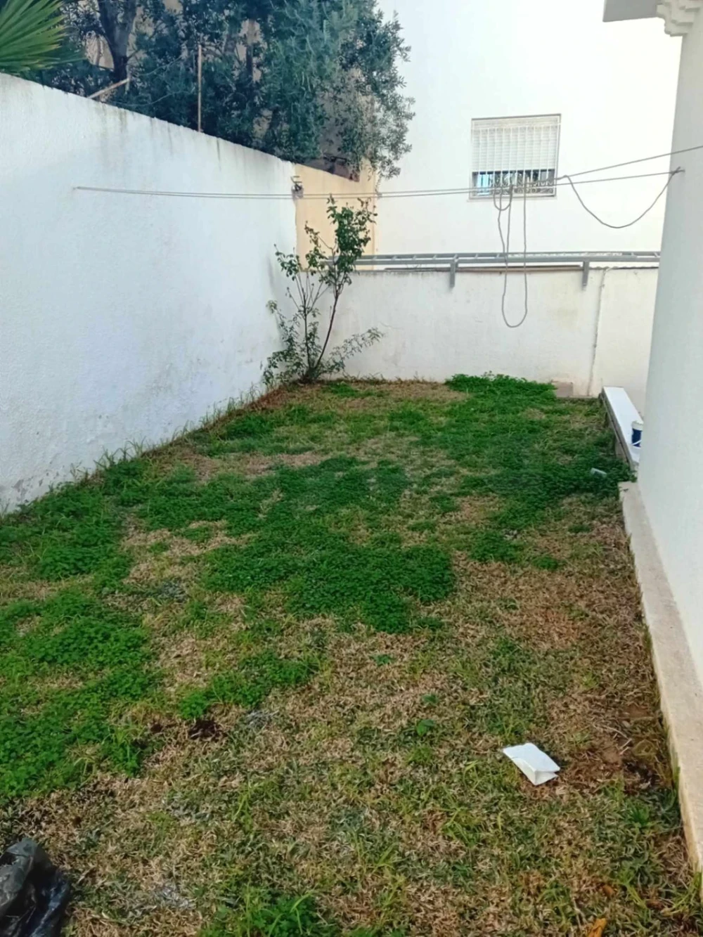 La Marsa Sidi Daoud Location Appart. 2 pices S plus 2 meublee avec jardin et garage