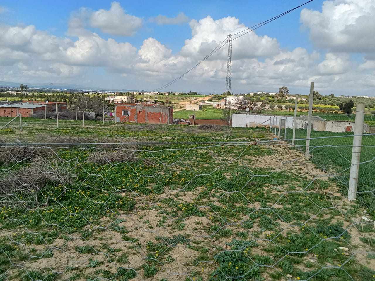 Oued Ellil Cite Bejoua 2 Terrain Terrain agricole Terrain agricole  bjeaoua