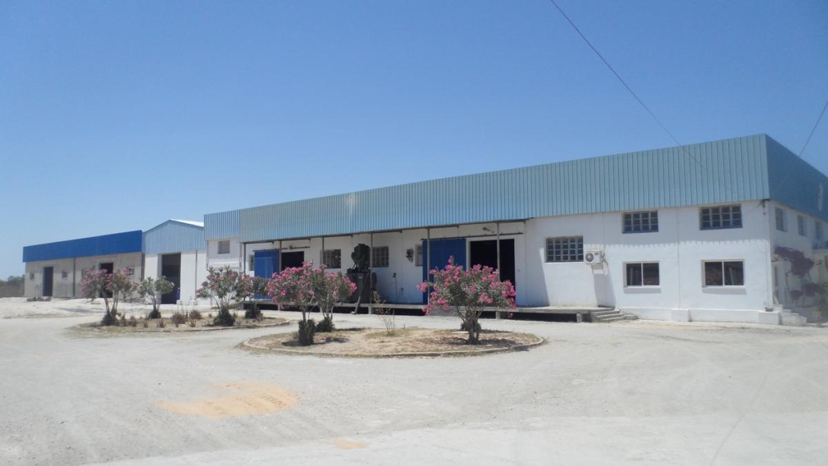 Sidi Bou Ali Sidi Bou Ali Vente Surfaces Loal pour usine industriel