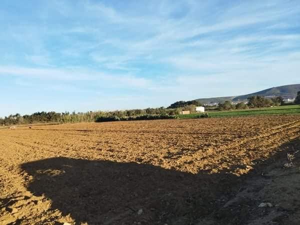 El Haouaria El Haouaria Terrain Terrain agricole Terrain agricole a el haouria