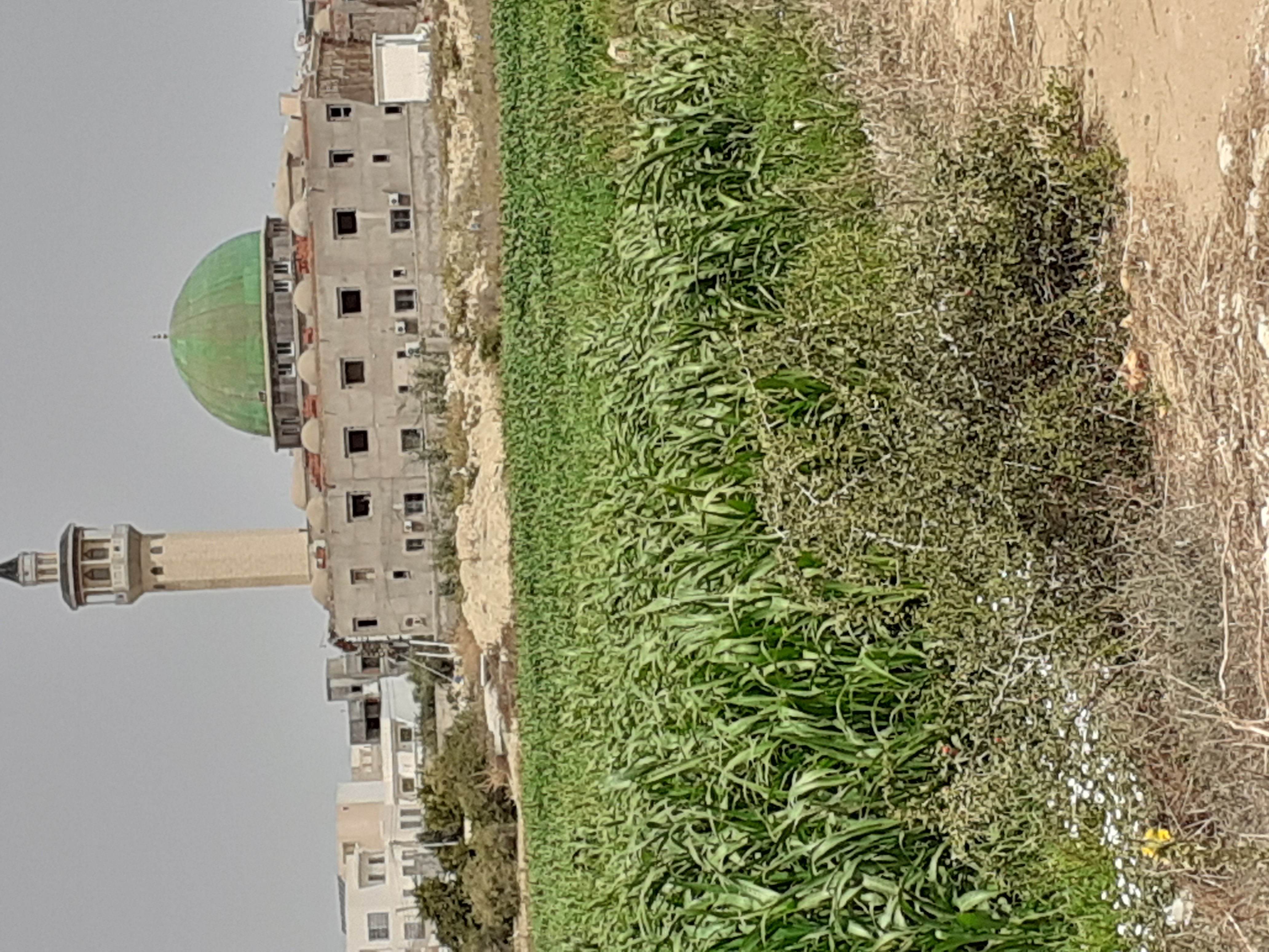 Dar Chaabane Elfehri Dar Chaabane Plage Terrain Terrain nu Terrain nu sur 2 faades char9i 9ibli vue de mer