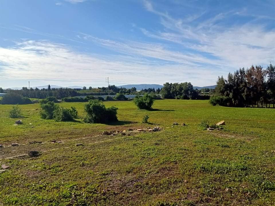 Soliman Cherifate Terrain Terrain agricole Gps  terrain bon emplacement sur route goudronne