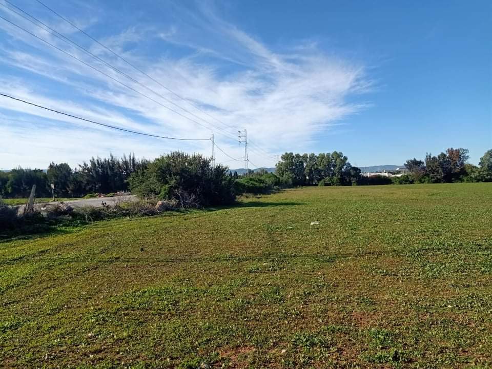 Soliman Cherifate Terrain Terrain agricole Gps  terrain bon emplacement sur route goudronne