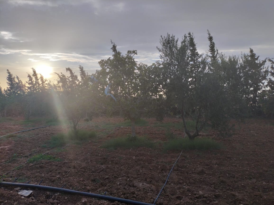 Sidi Bou Ali Sidi Bou Ali Terrain Terrain agricole Terrain fertile  sidi bouali