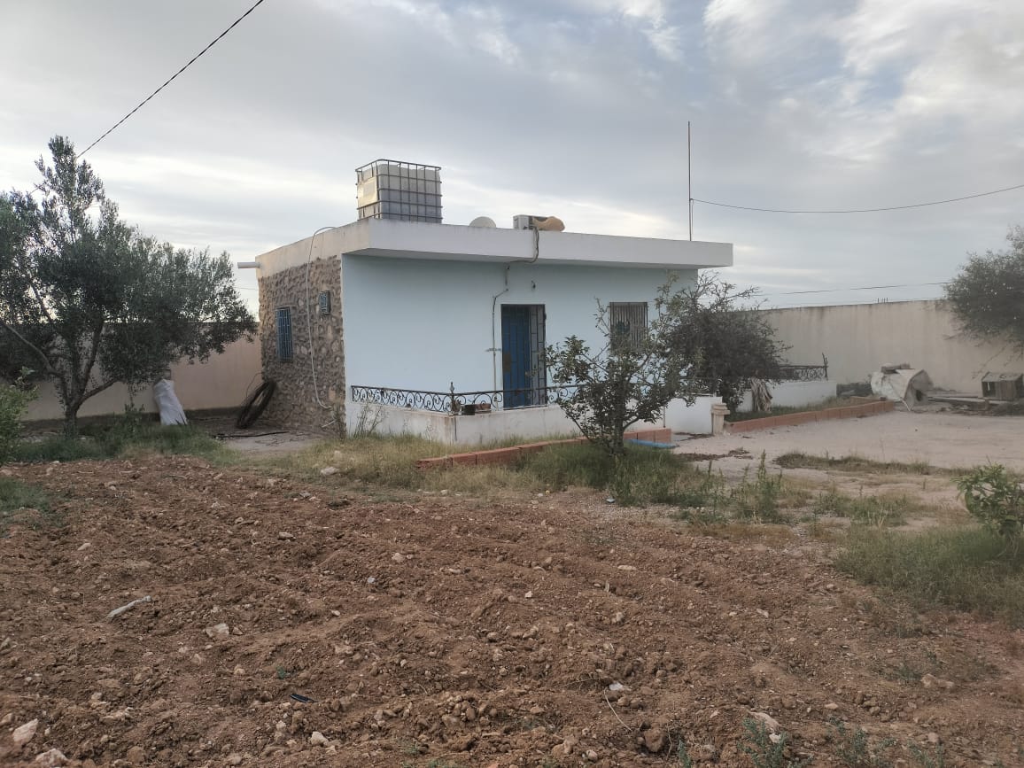 Sidi Bou Ali Sidi Bou Ali Terrain Terrain agricole Terrain fertile  sidi bouali