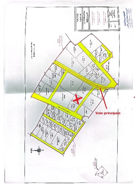 Ariana Ville Cite Ennasr 2 Terrain Terrain nu Rous lahrayek  vnt ter 1000m2