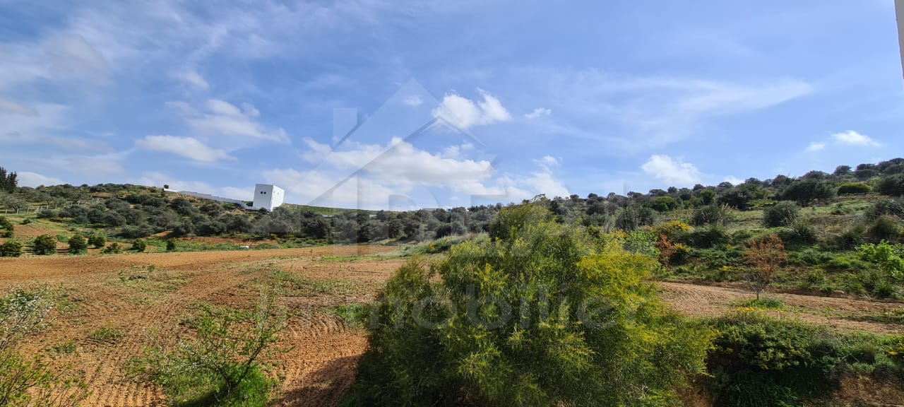 Sidi Thabet Sidi Thabet Terrain Terrain agricole Ferme et villa de 2hectares  sidi thabet