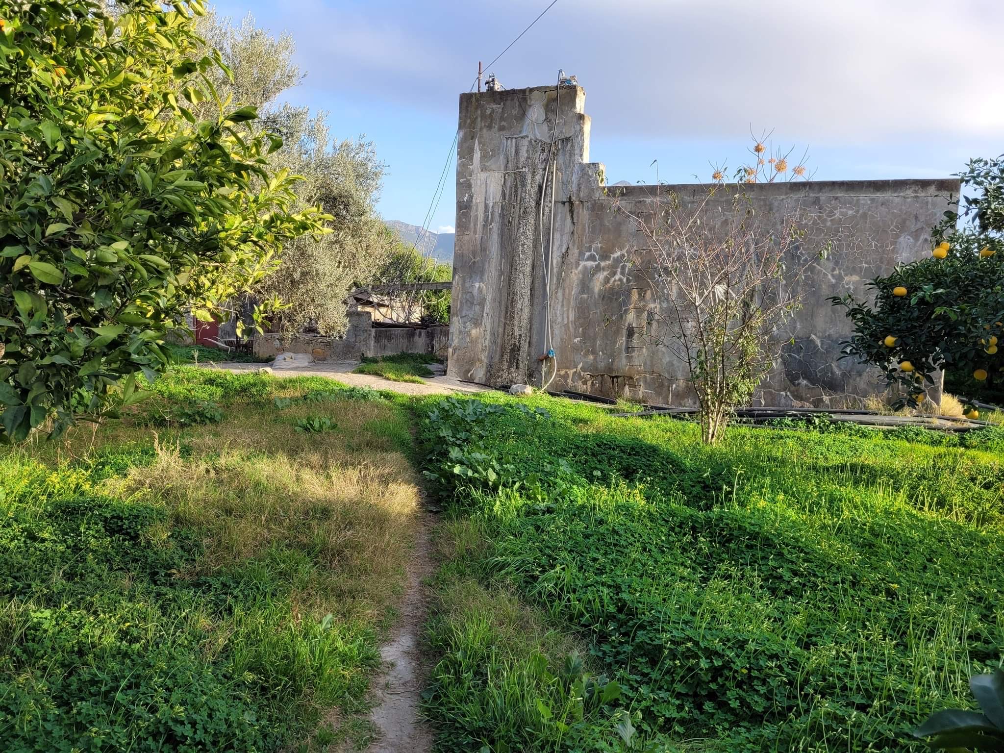 Mornag Jebel Ersass Terrain Terrain agricole Senia clotures