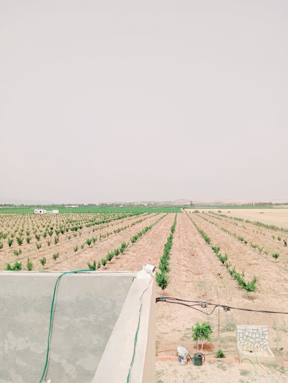 Mejez El Bab Mejez El Bab Terrain Terrain agricole Ferme pechers