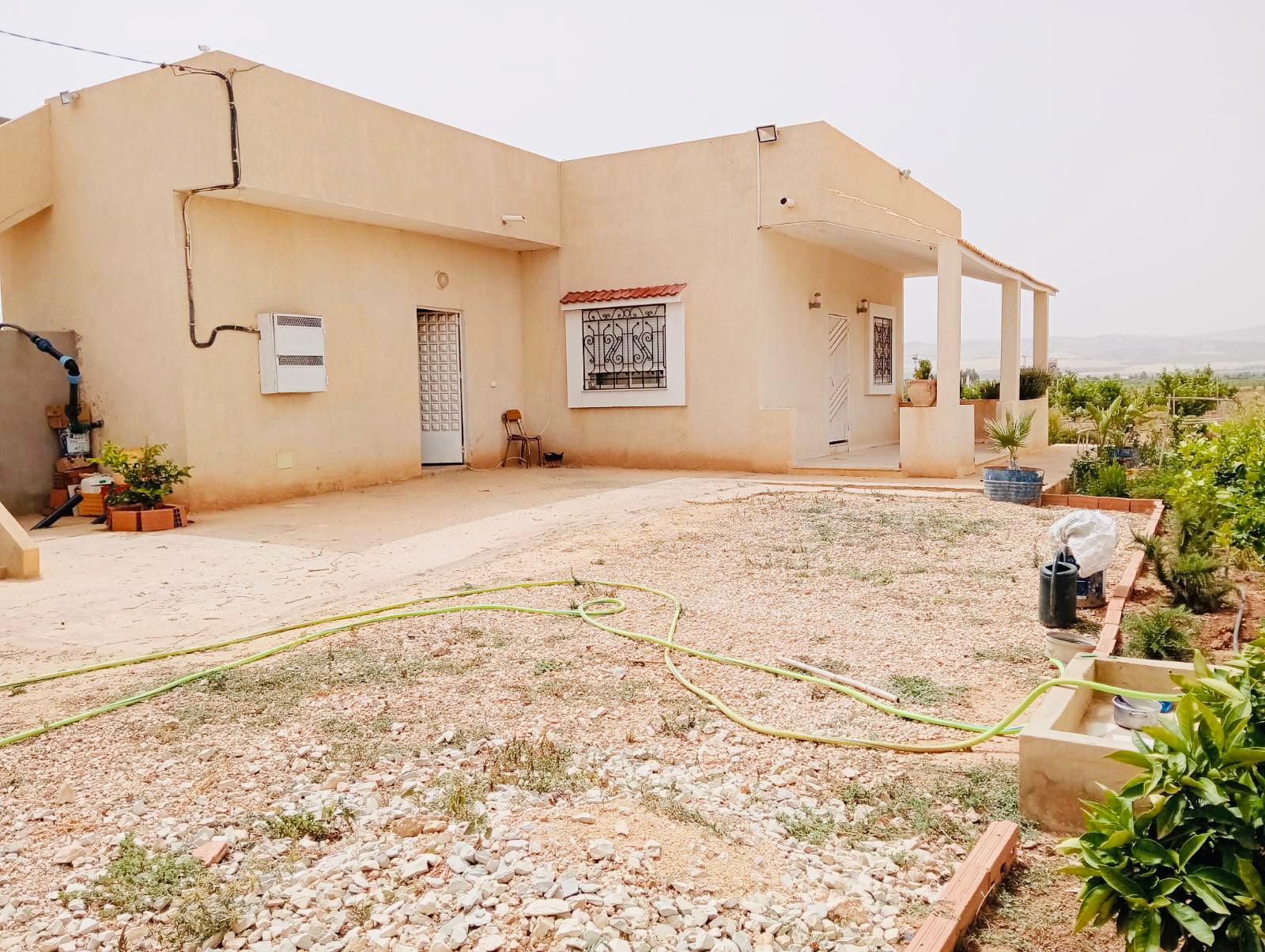 Mejez El Bab Mejez El Bab Terrain Terrain agricole Ferme pechers