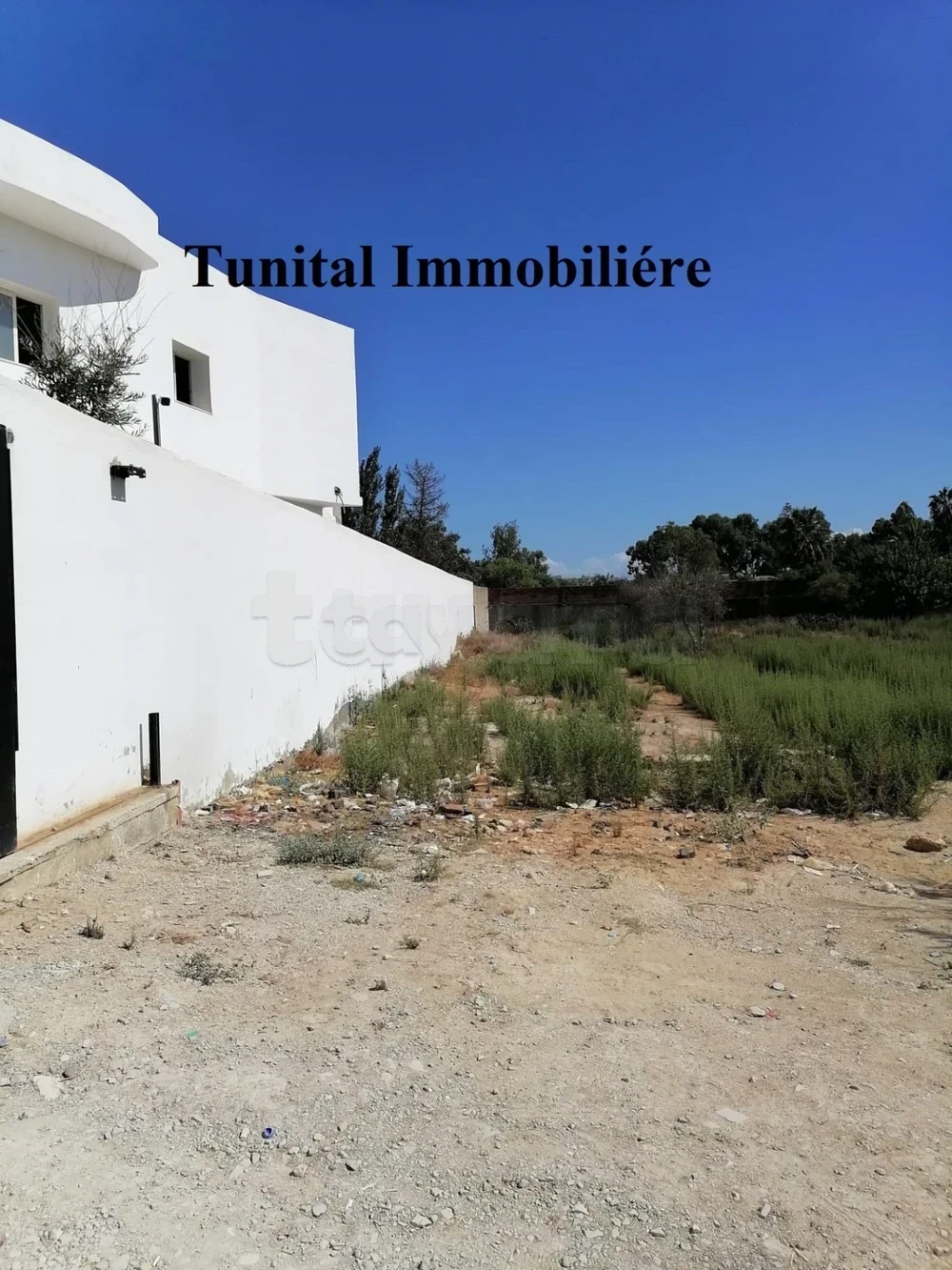 La Marsa Cite Bhar Lazreg Vente Surfaces La marsa bhar lazreg terrain cltur zone villa