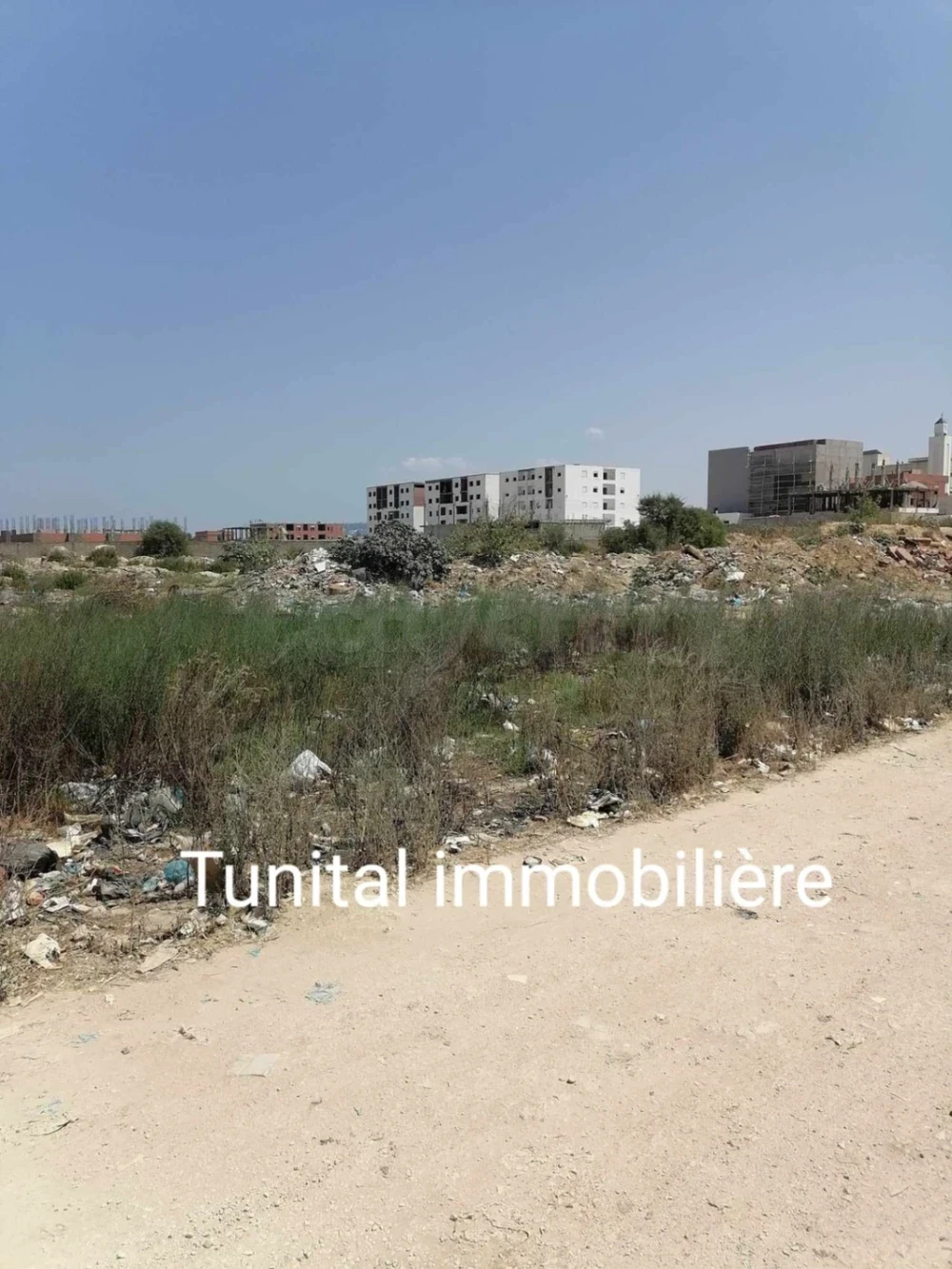 La Marsa Cite Bhar Lazreg Vente Surfaces Terrain  la marsa bhar lazreg bon emplacement