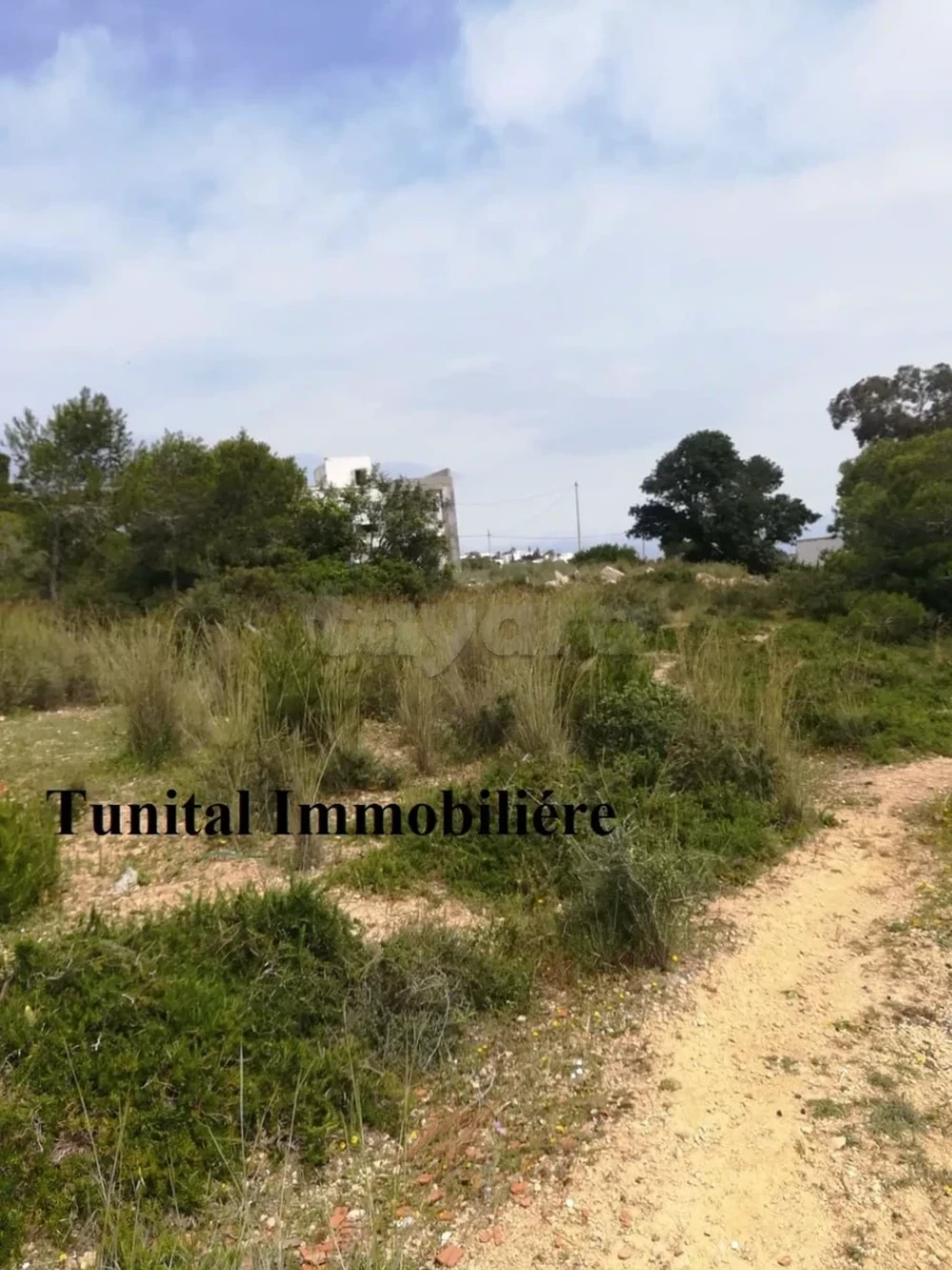 La Marsa Cite Bhar Lazreg Vente Surfaces Terrain vue panoramique la marsa jbal khaoui