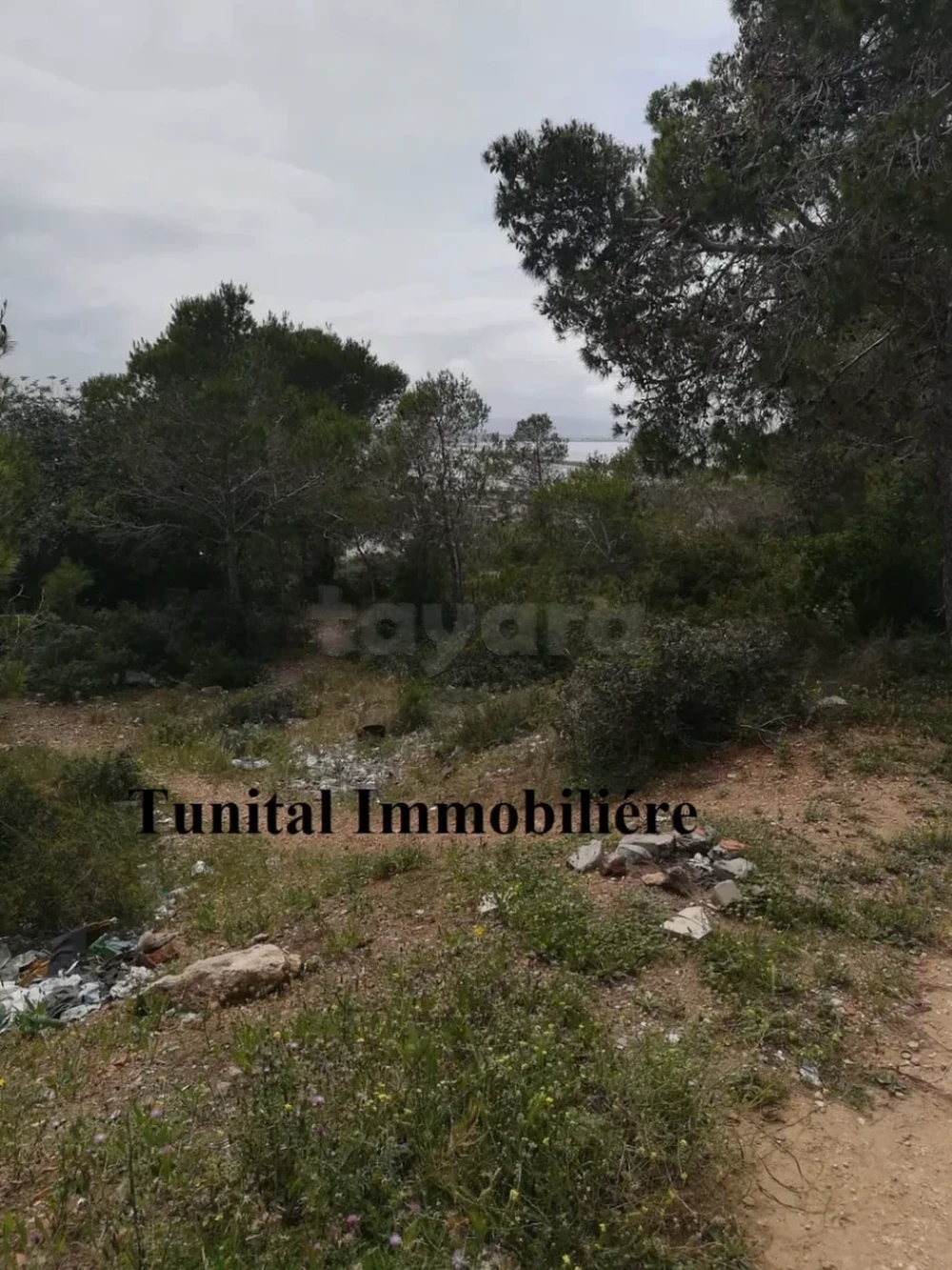 La Marsa Cite Bhar Lazreg Vente Surfaces Terrain vue panoramique la marsa jbal khaoui