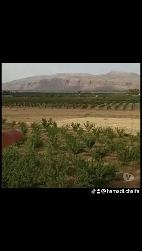 El Fahs El Fahs Terrain Terrain agricole 138 hectares a zaghouan sakui