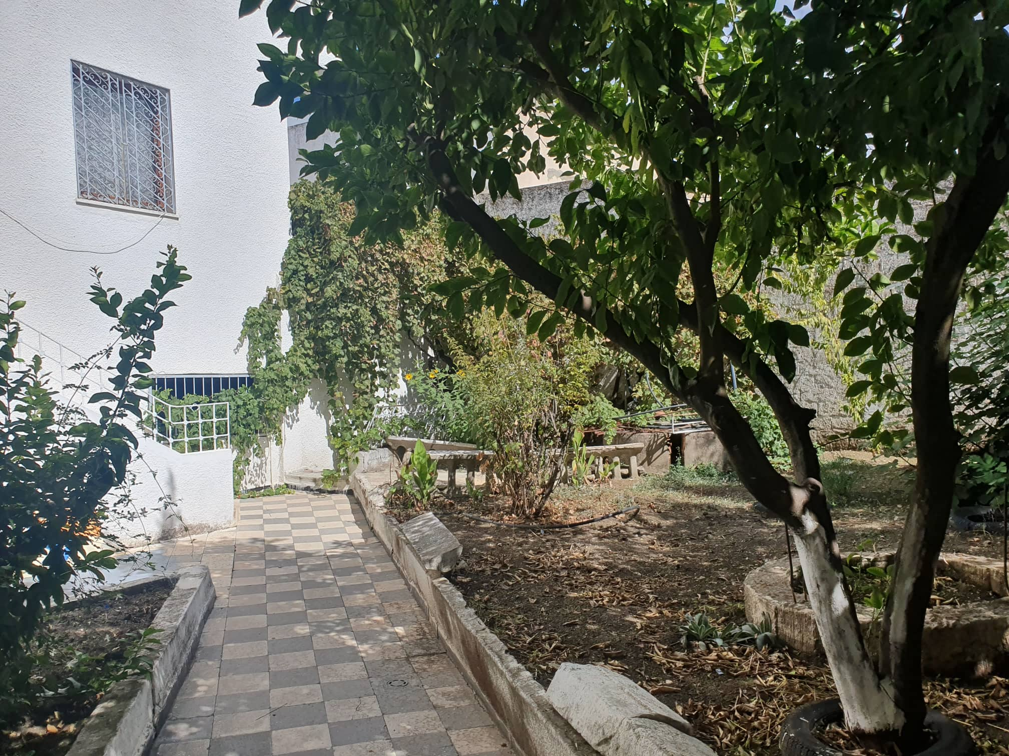 Beja Sud Sidi Frej Vente Maisons Maisoncafe2locauxcommerciaux