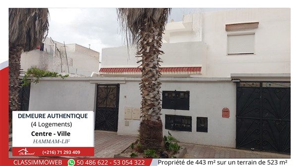 Hammam Lif Hammam Lif Vente Maisons Demeure de 4 logements