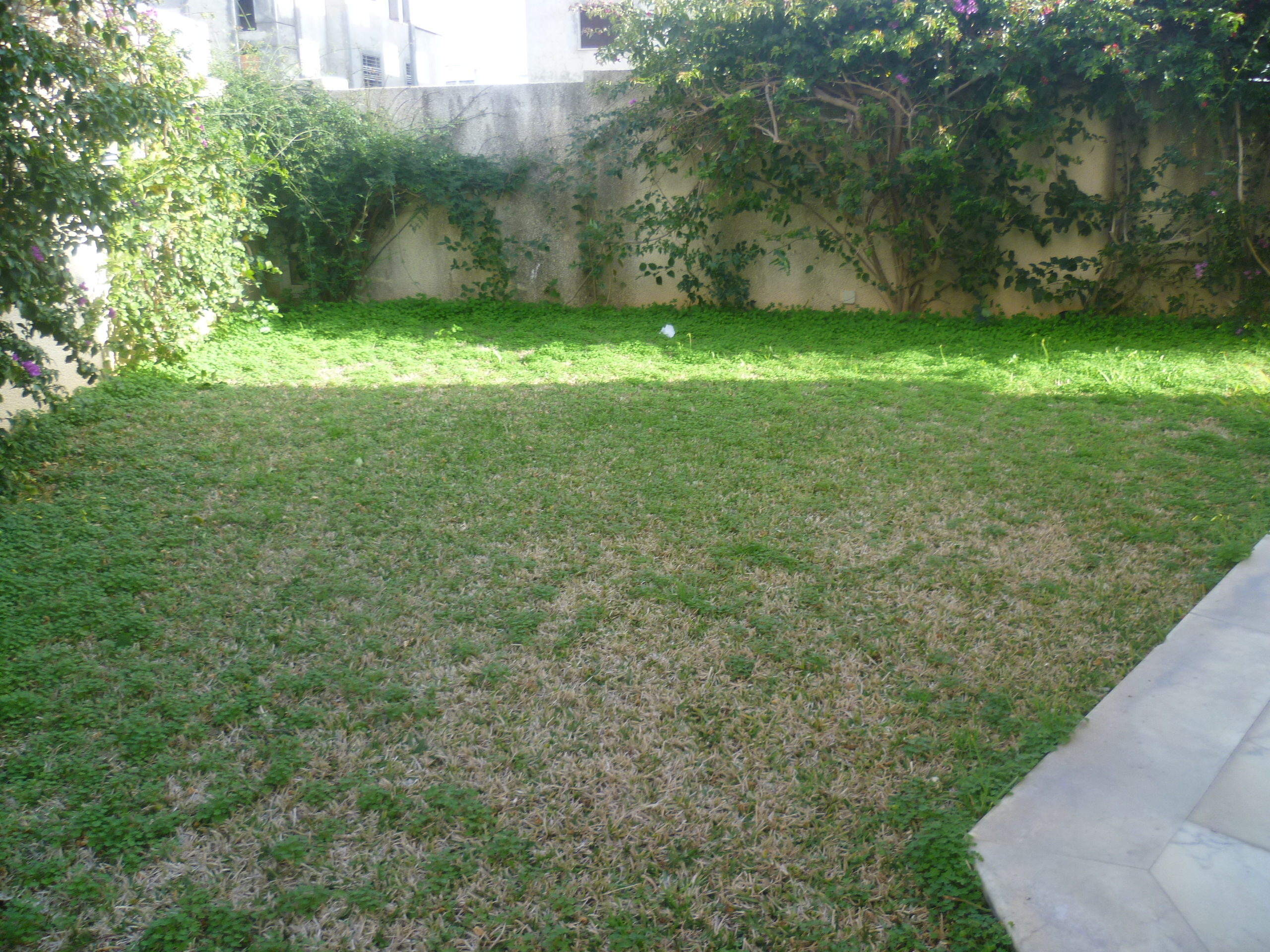 Hammamet Hammamet Location Maisons Villa afh mrezgua cite wafa