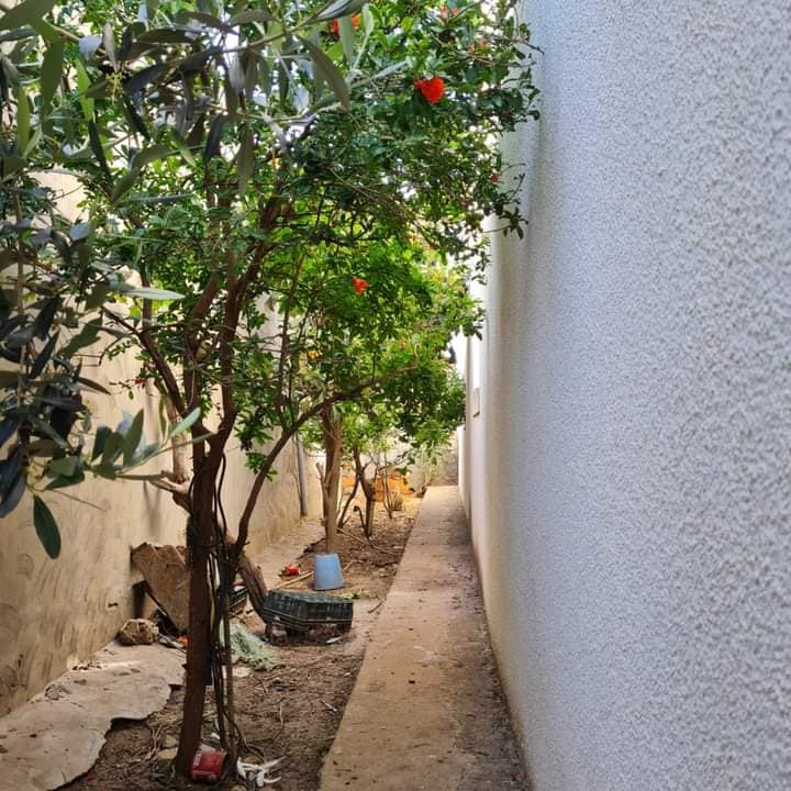 Kelibia Dar Allouche Vente Maisons Villa avec grande terrasse