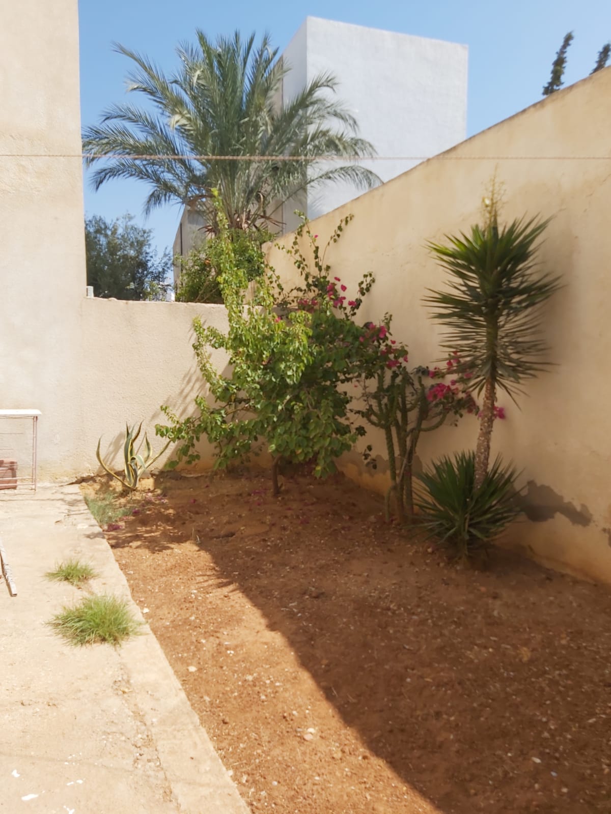 Raoued Ariana Essoughra Location Appart. 3 pices Appartement