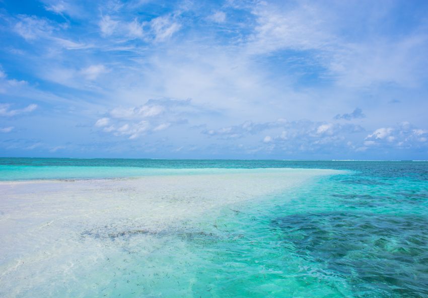 Hammam El Ghezaz Ezzahra Terrain Terrain nu Bonne affaire pour investir au bord de la plage