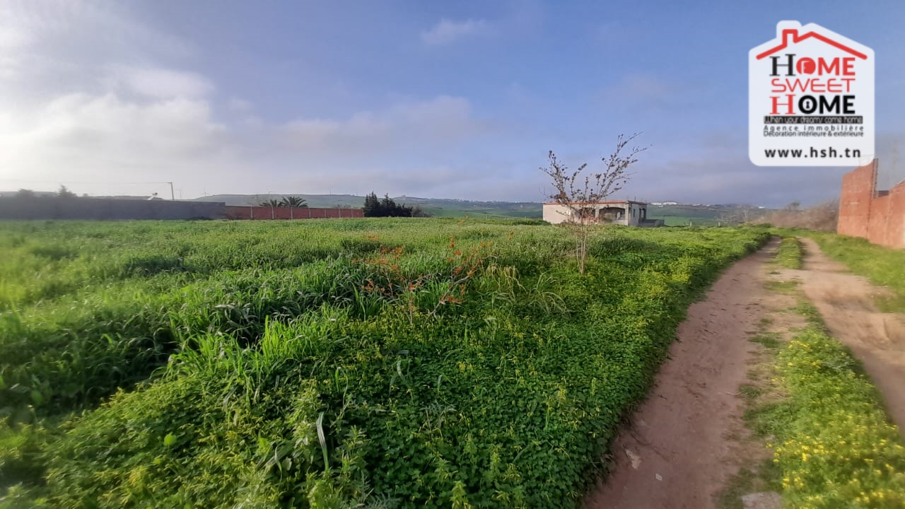 Bizerte Nord Bizerte Terrain Terrain nu Terrain agricole danny ras jbal bizerte