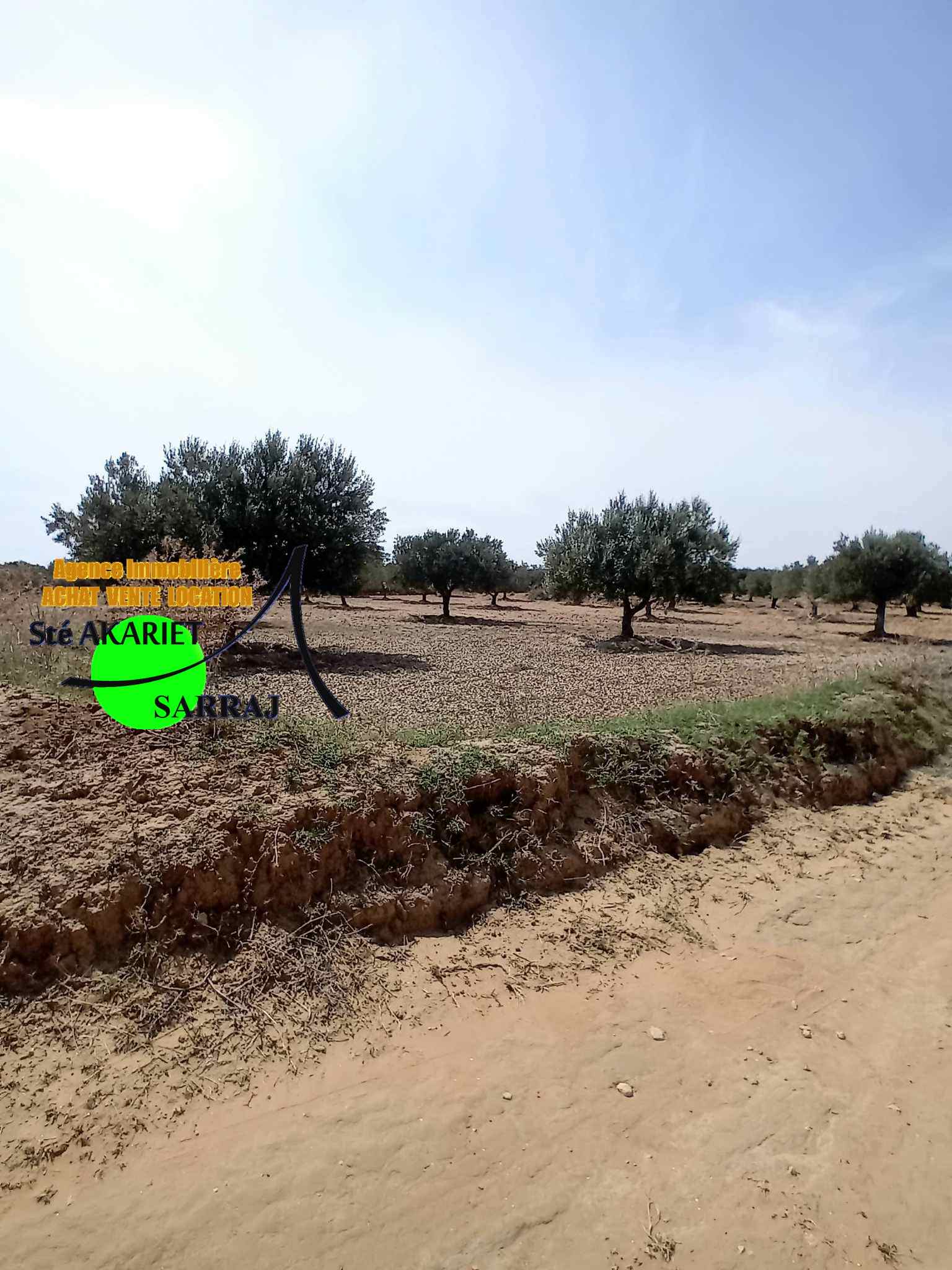 Akouda Chatt Meriem Terrain Terrain agricole Offre  ne pas rater terrain 2300m  fokaia