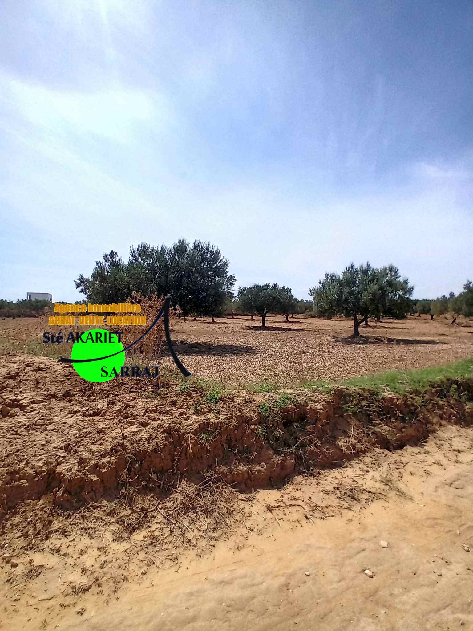 Akouda Chatt Meriem Terrain Terrain agricole Offre  ne pas rater terrain 2300m  fokaia