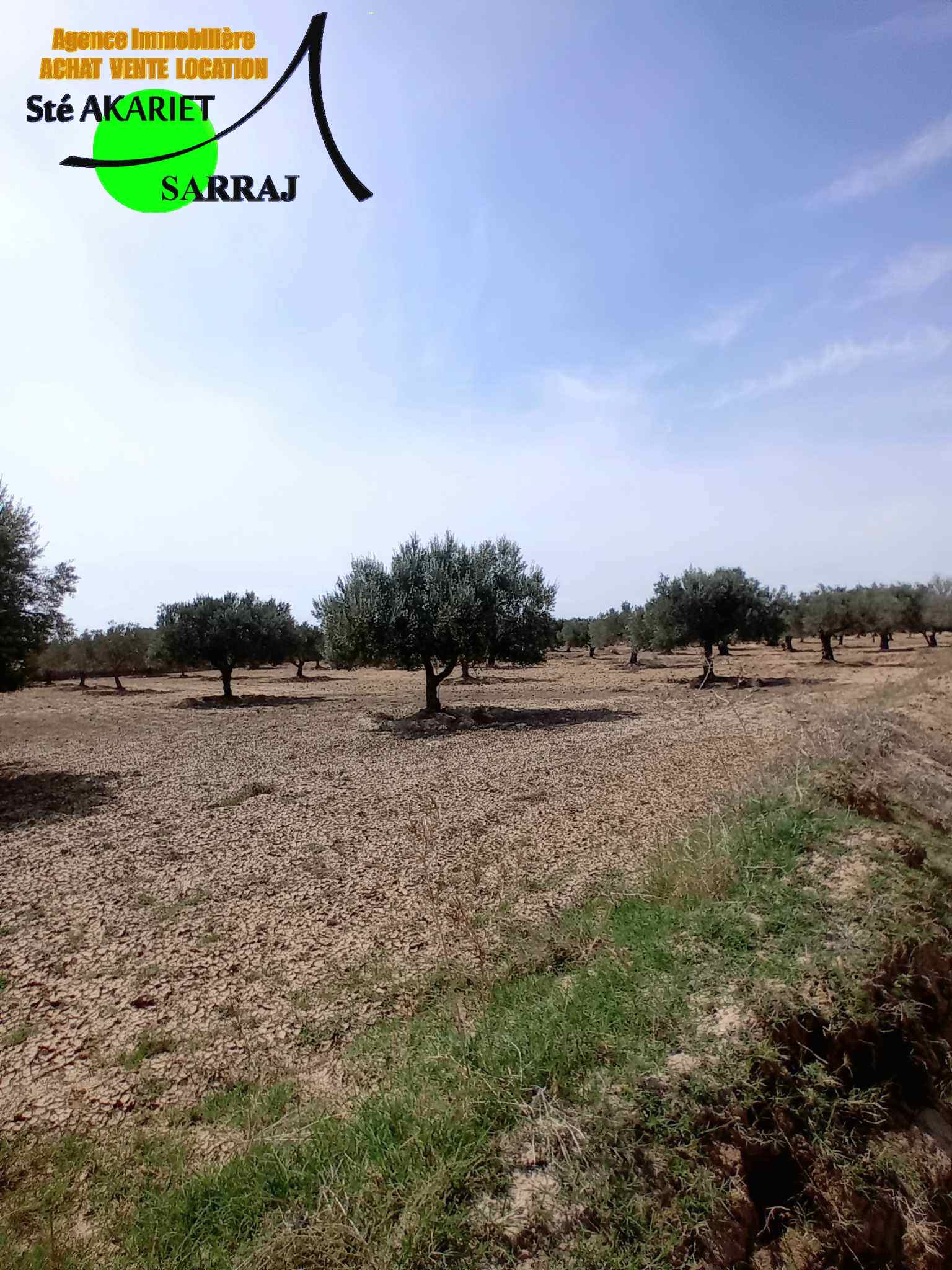 Akouda Chatt Meriem Terrain Terrain agricole Offre  ne pas rater terrain 2300m  fokaia