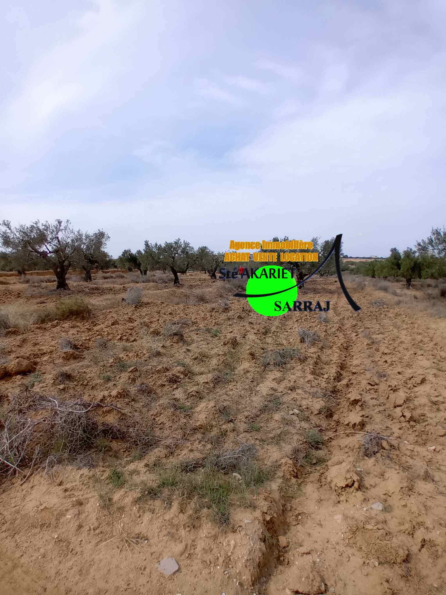 Akouda Chatt Meriem Terrain Terrain agricole Terrain agricole 3666m vue mer  koussour gharnata