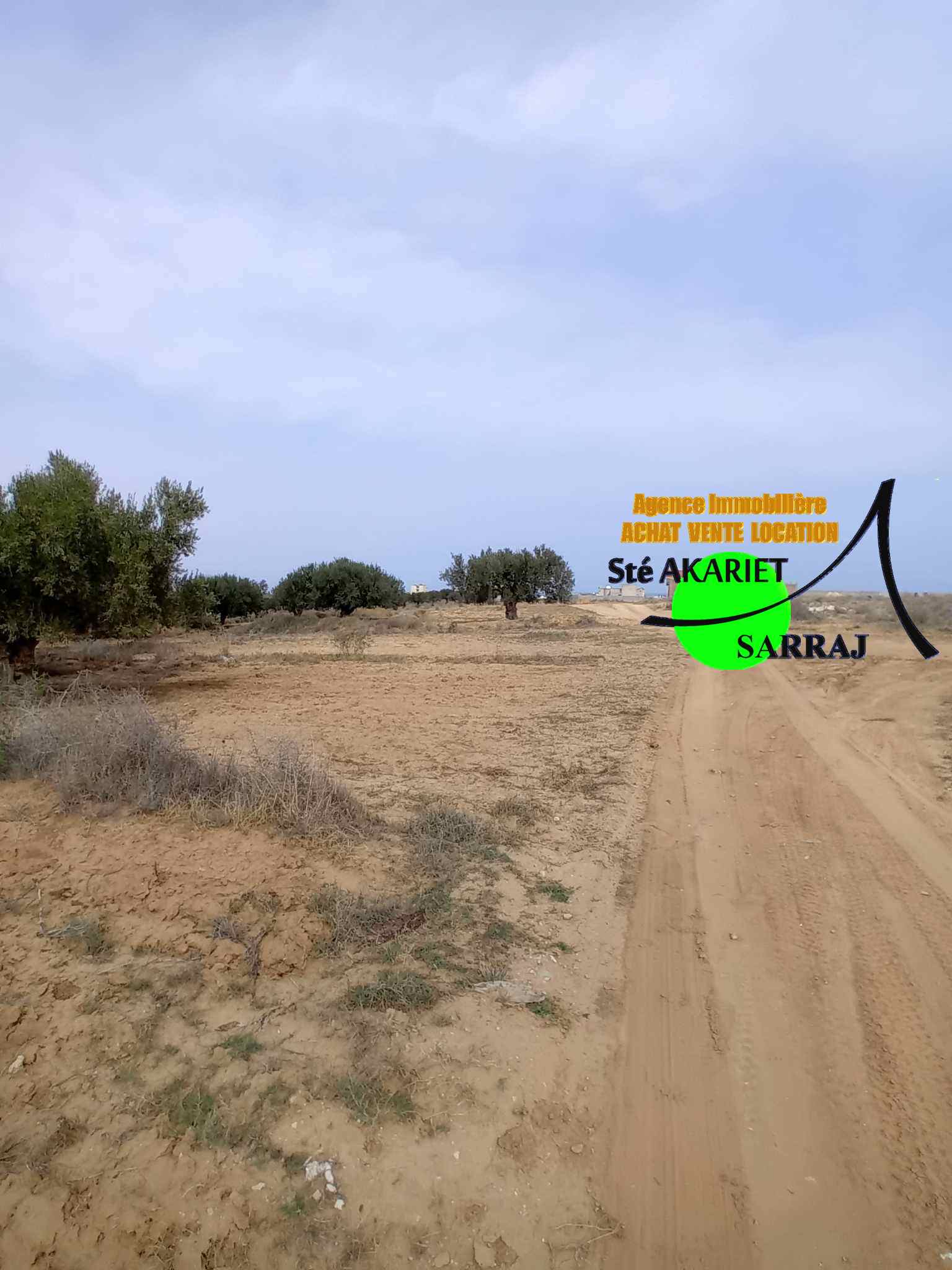 Akouda Chatt Meriem Terrain Terrain agricole Terrain 1961m vue de mer  koussour gharnata