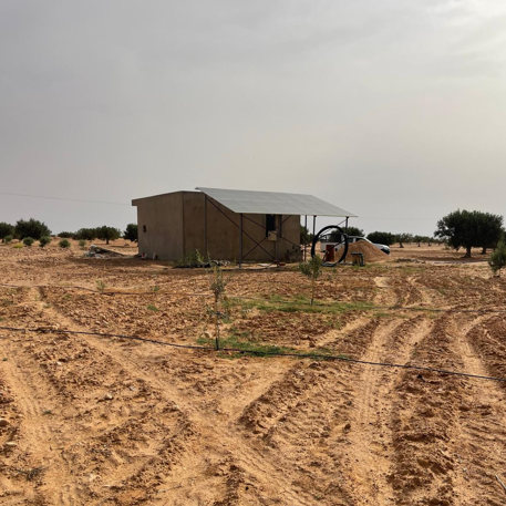 Ghraiba Ghraiba Terrain Terrain agricole Terrain agricole