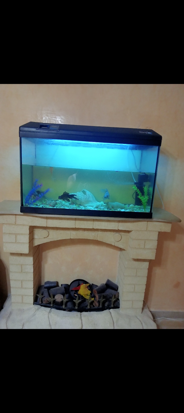 El Omrane Superieur El Omrane Superieur Accessoires Autre Aquarium d'eau