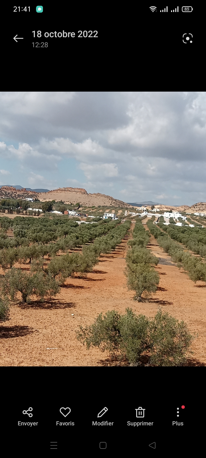 Hammamet Sidi Jedidi Terrain Terrain nu Terrain a ne pas rater