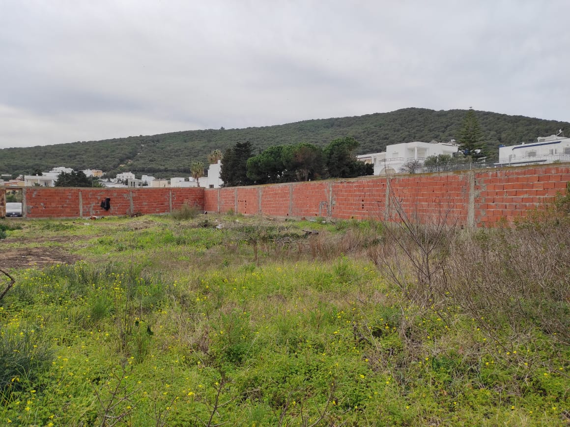 Bizerte Nord Cite El Korniche 1 Vente Autre Un terrain dans une quartier rsidentielle