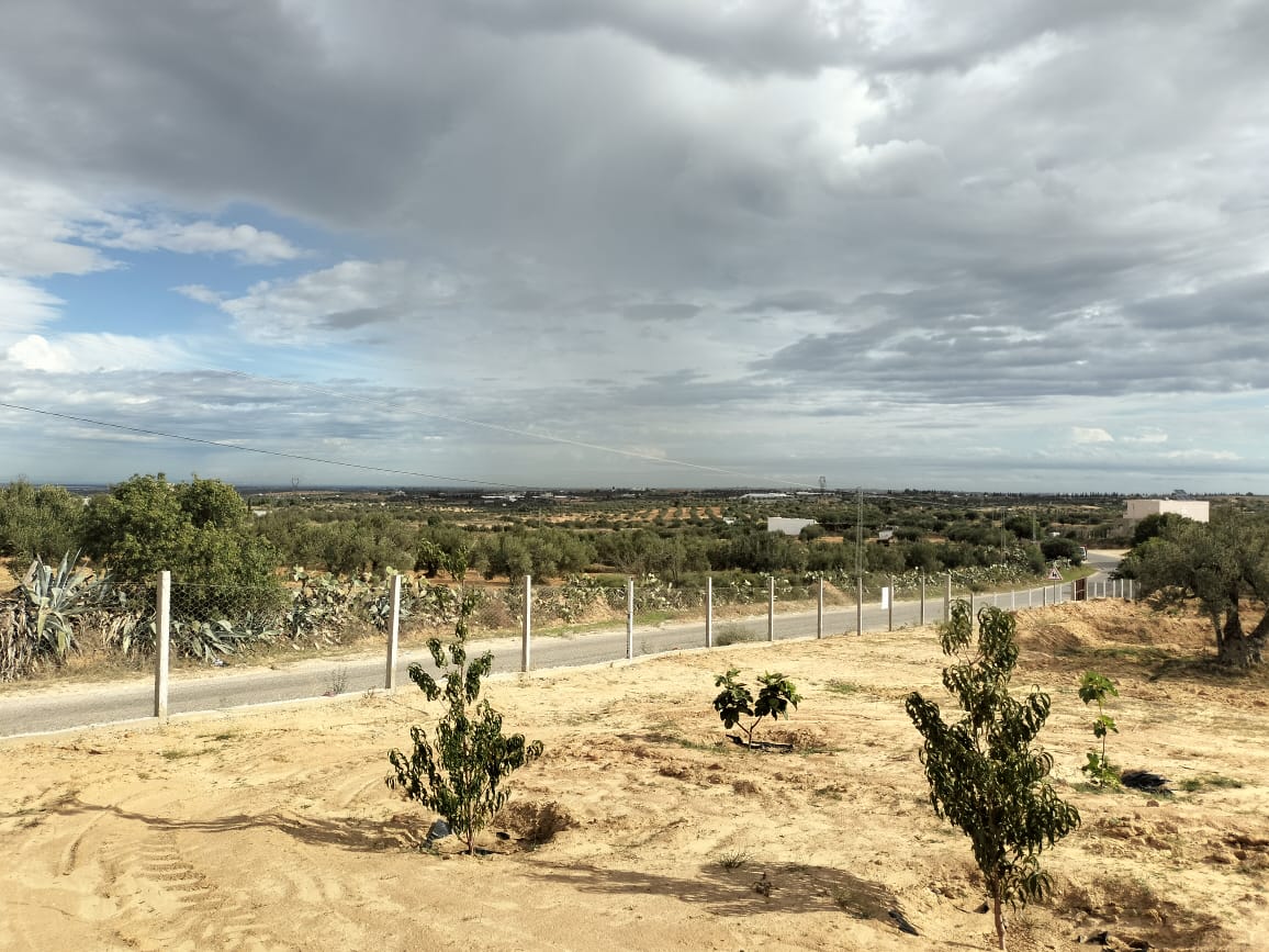 Kalaa El Kebira Kalaa El Kebira Terrain Terrain agricole Terrain agricole  kala kbira