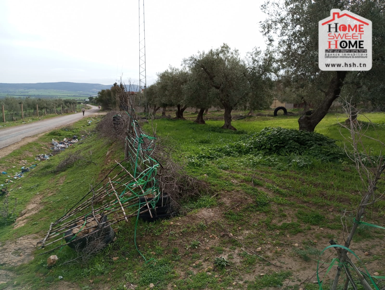 Teboursouk Teboursouk Terrain Terrain agricole Terrain agricole zack  teboursouk