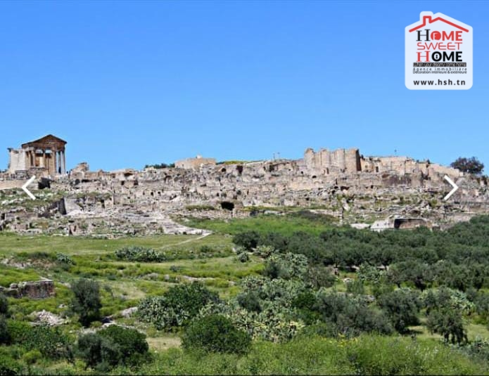 Beja Nord Beja Terrain Terrain agricole Terrain agricole aude  dougga