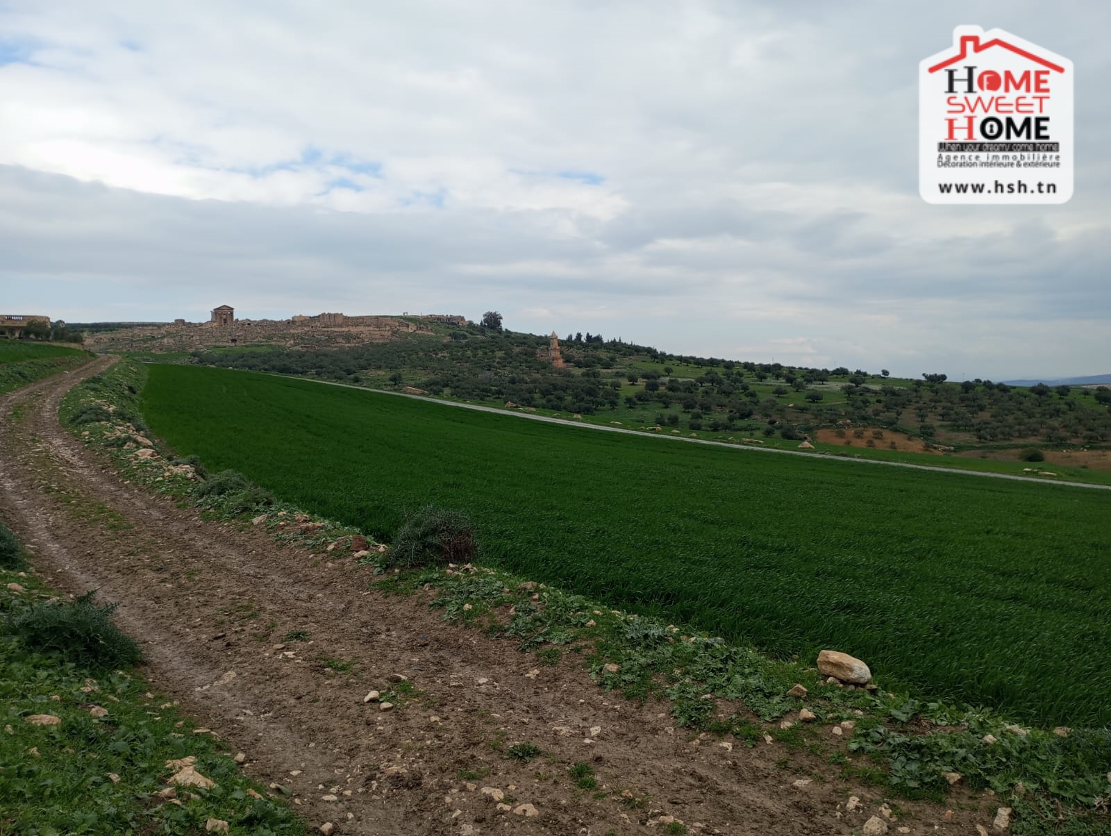 Beja Nord Beja Terrain Terrain agricole Terrain agricole aude  dougga