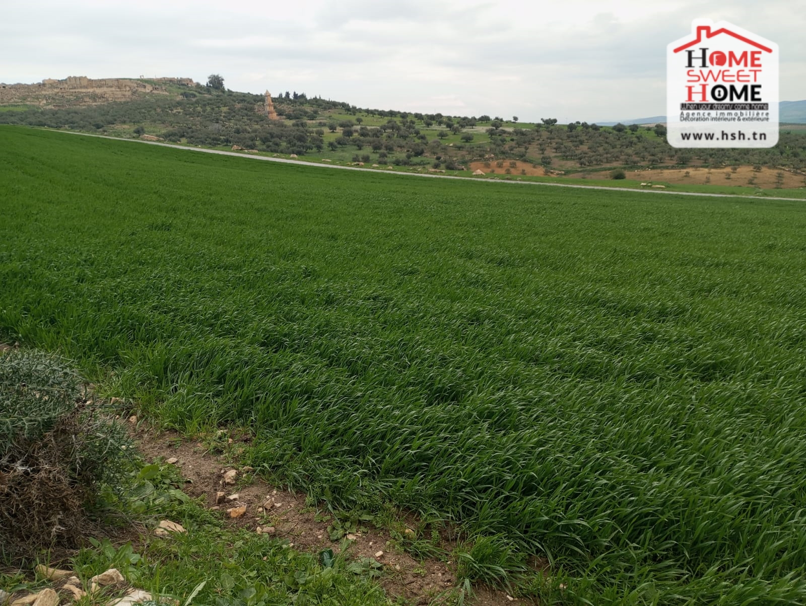 Beja Nord Beja Terrain Terrain agricole Terrain agricole aude  dougga