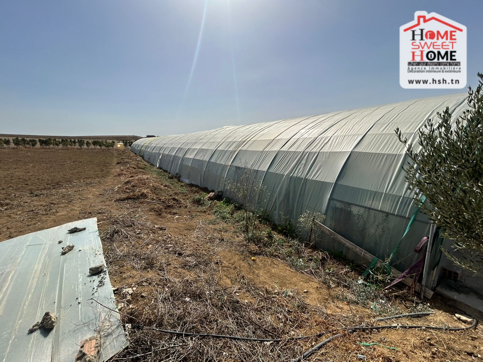 Sidi Thabet Cebalet Ben Ammar Terrain Terrain agricole Ferme saint martin  cebelet ben ammar