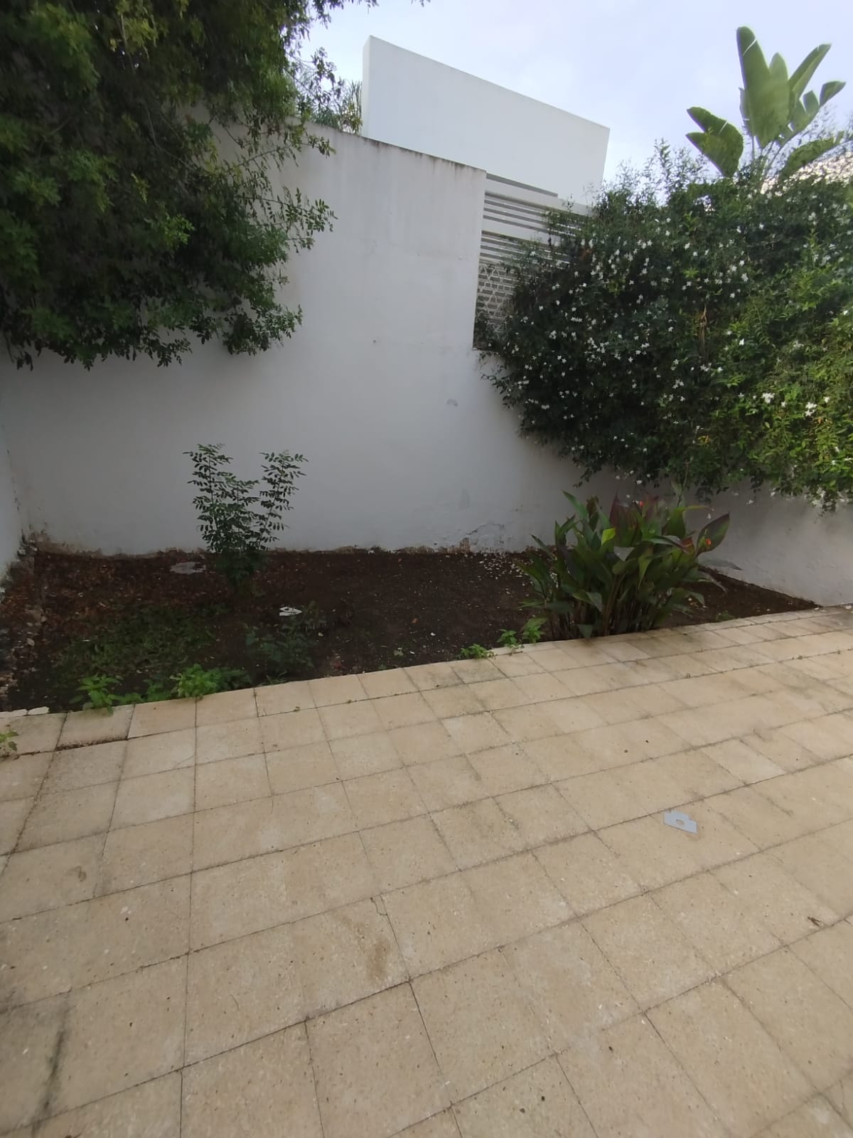 El Menzah Mutuelle Ville Location Appart. 4 pices Spacieux duplex  mutuelleville