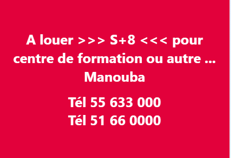 Mannouba La Mannouba Bureaux & Commerces Surfaces S plus 8 centre formation