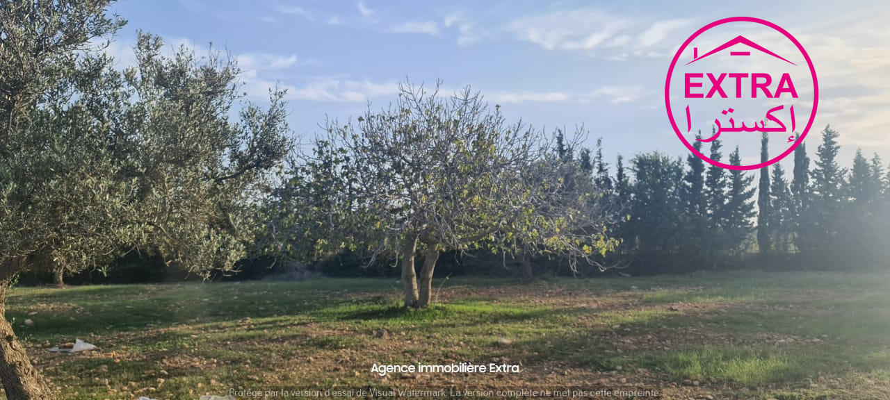 Beni Khiar Somaa Terrain Terrain agricole Campagne  somaa