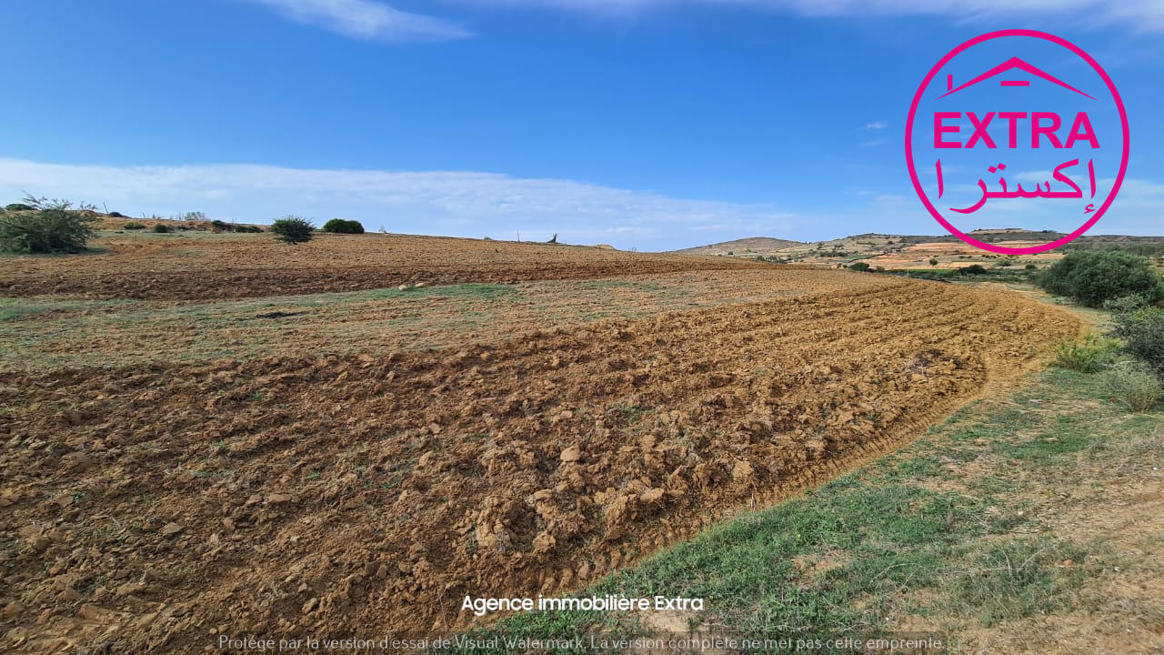 Beni Khiar Ghardaya Terrain Terrain nu Hectare a ghardeya