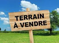 Zaghouan Bir Halima Terrain Terrain agricole T100 ferme les oliviers