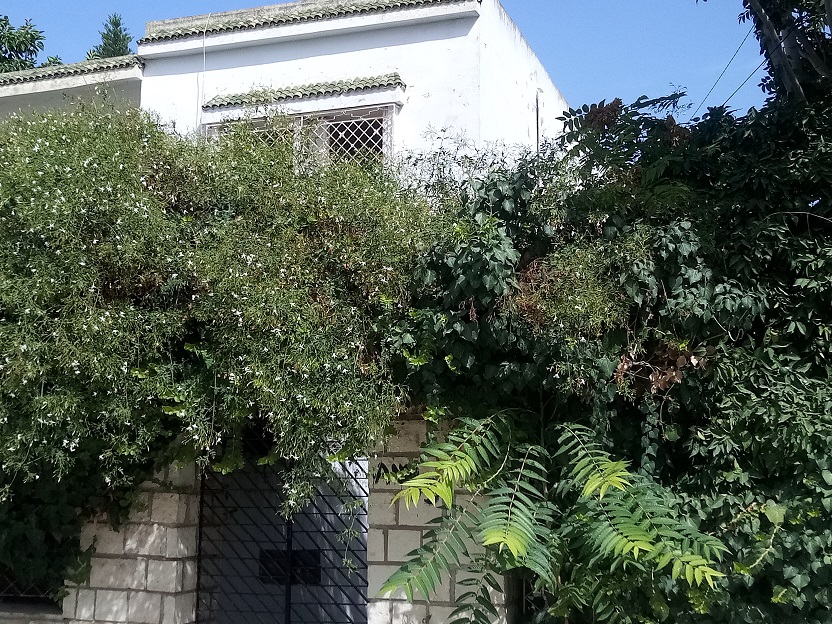 Le Bardo Le Bardo Vente Maisons Maison  bardo