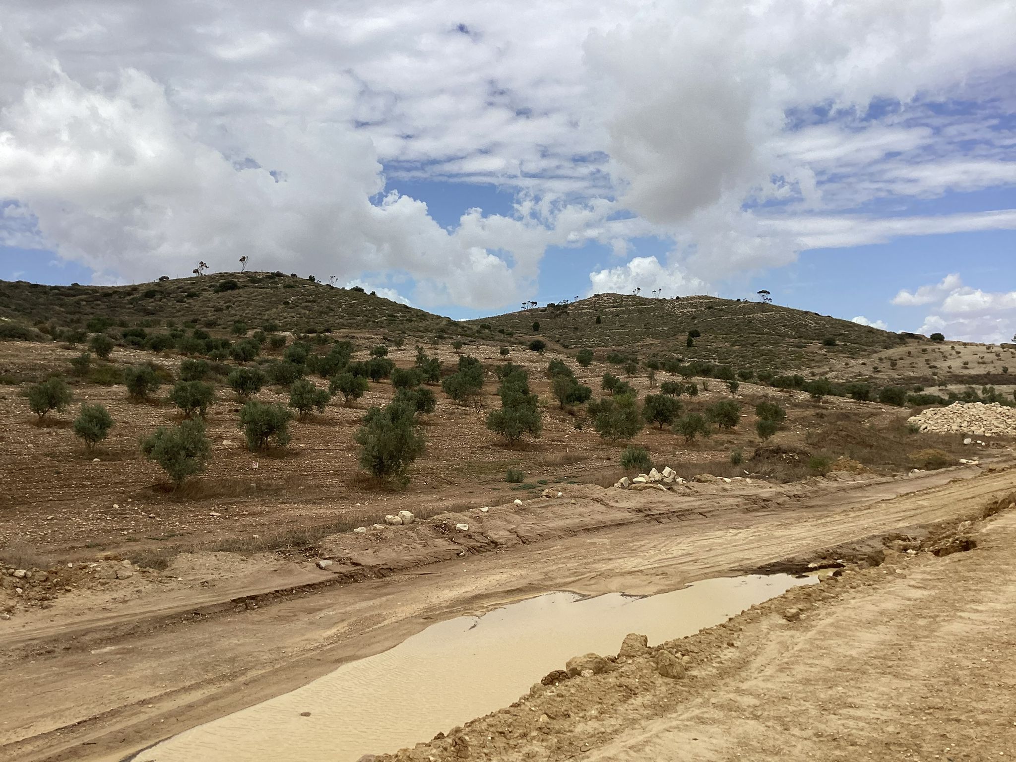 Mornag Khelidia Terrain Terrain agricole Terrain agricole dans le gouvernorat de ben arous