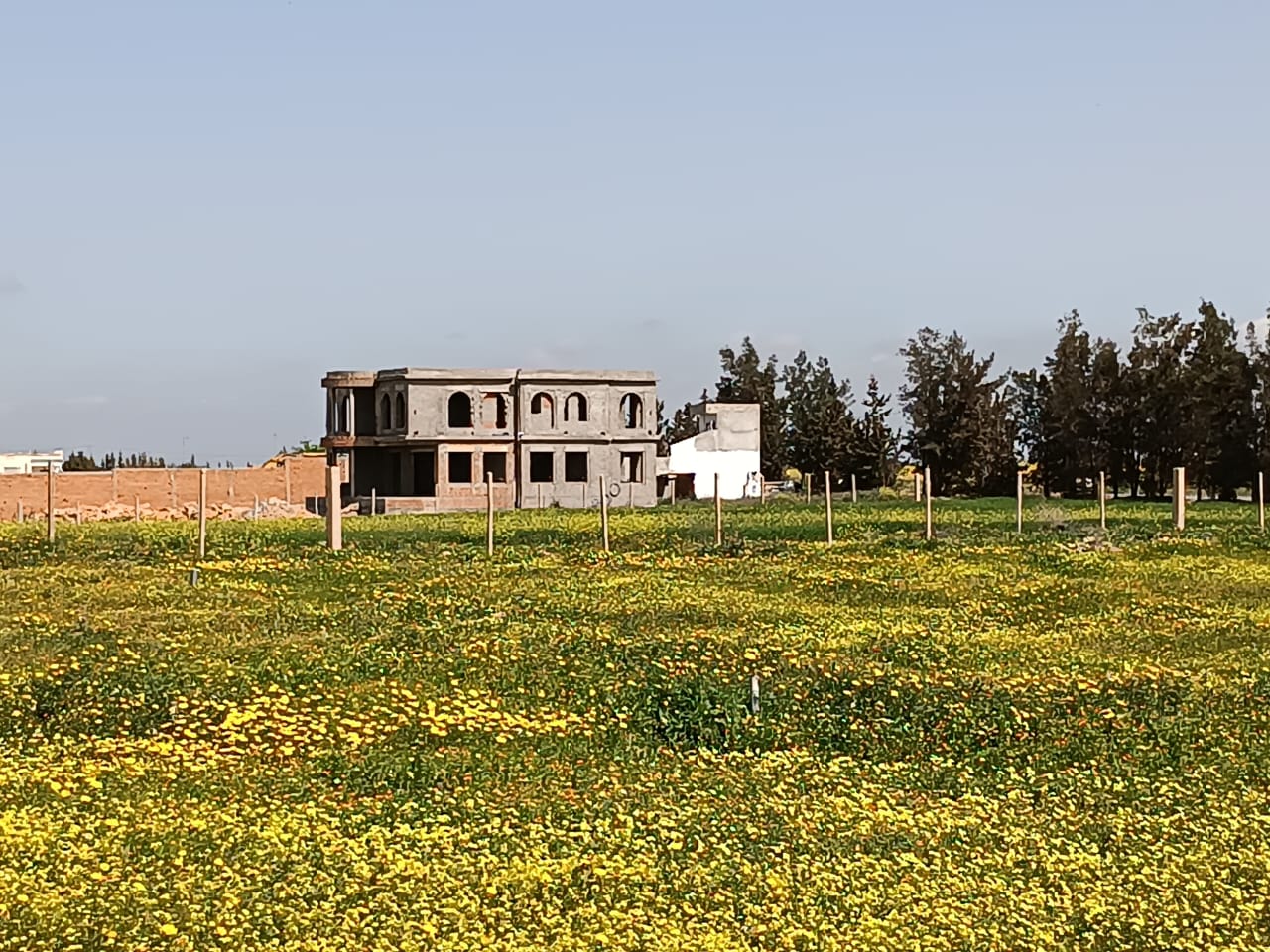 Borj El Amri Borj Ennour Terrain Terrain nu Terrain  borj el amri